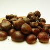 kastana kritis-chestnuts crete ellinika
